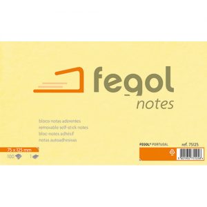 fegol notes_2013